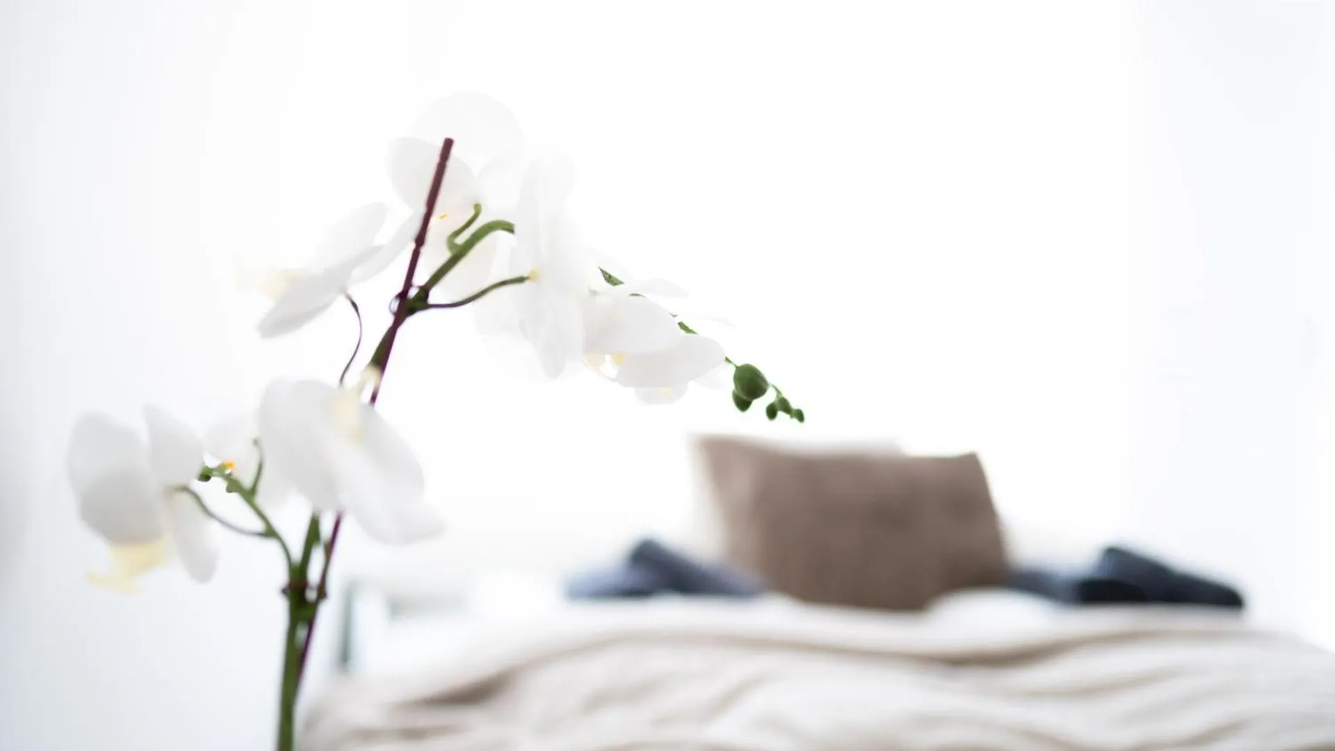 Design Apartments With Balcony & Free Parking Wiedeń Austria