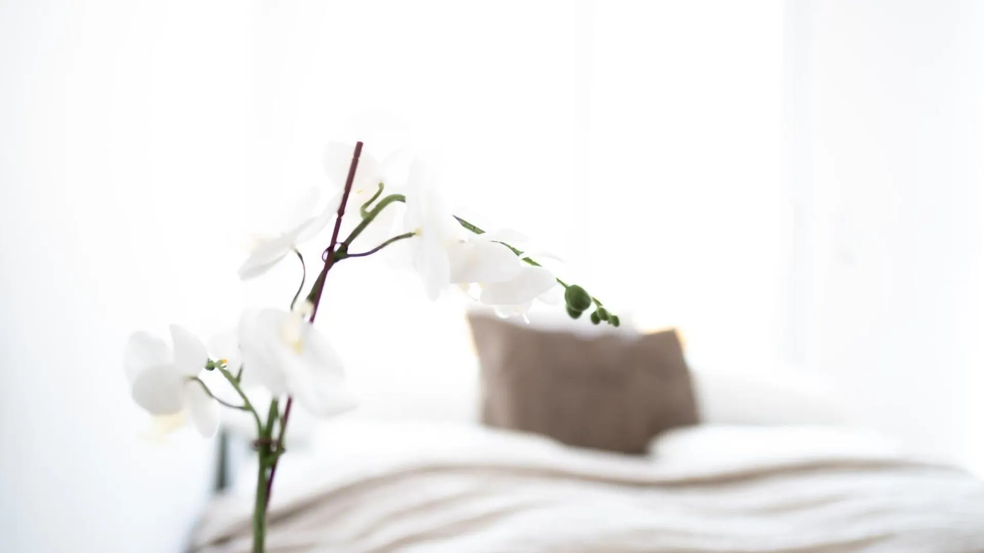 Design Apartments With Balcony & Free Parking Wiedeń 0*,  Austria